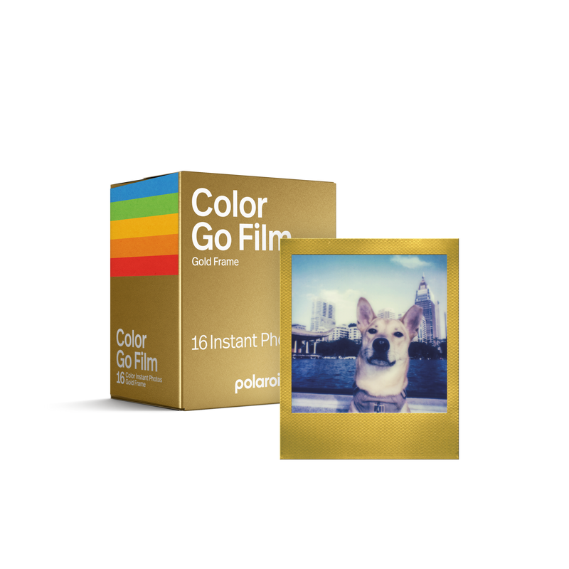 Polaroid Go Color Film Double Pack – Gold Frame